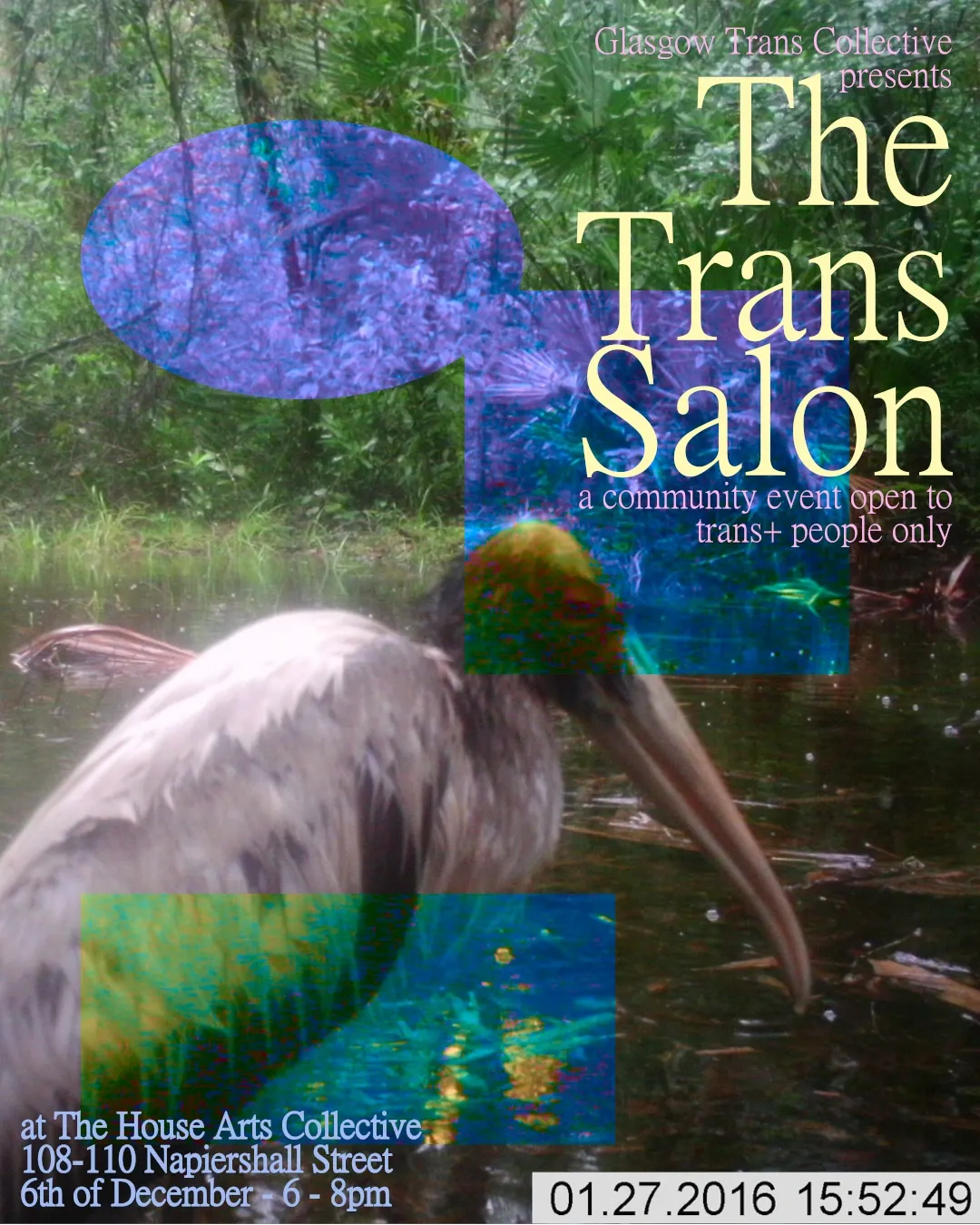 This poster is a trail camera still of a wood stark (a large white and grey bird), looking behind itself towards the camera, in a dense forest. The image has square, circle and rectangle cut outs that show a distorted version of the image underneath. This distorted image has a crunchy texture and is in blue, purple and green hues. Over top of the image there is writing in a classic serif font in pastel colours. The name of the event is in yellow, the date, time and location of the event are written in blue, the rest of the writing is in pink. The text reads ‘Glasgow Trans Collective presents, The Trans Salon, a community event open to trans+ people only, at The House Arts Collective, 108 - 110 Napiershill Street, 6th of December - 6 - 8pm.