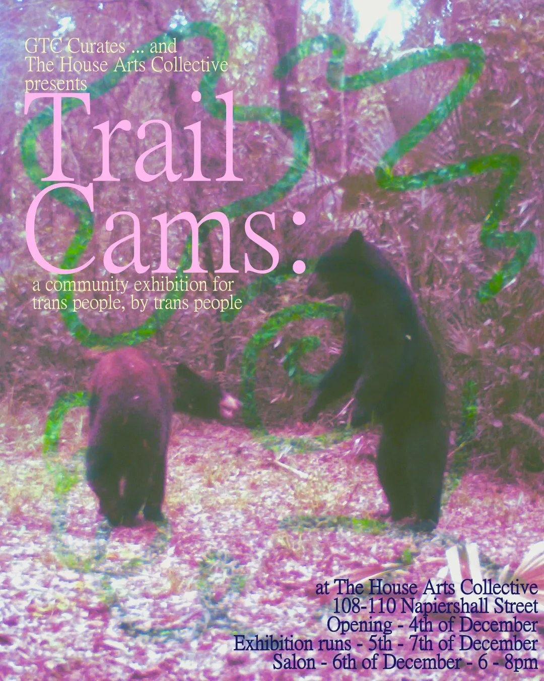 A trail camera still of 2 bears in a dense forest. One is standing over the other, they could be playing or fighting. The image has a pink and yellow hue with squiggles that show the true green through them. Over the top of the image details about the event are written in a classic serif font. The name of the exhibition is in pink, the dates, times and location are written in dark blue, everything else is written in yellow. The text says ‘GTC Curates… and The House Arts Collective Presents, Trail Cams: an exhibition for trans people, by trans people at The House Arts Collective, 108 - 110 Napiershill Street, Opening - 4th of December, Exhibition runs - 5th - 7th of December, Salon - 6th of December - 6 - 8pm.